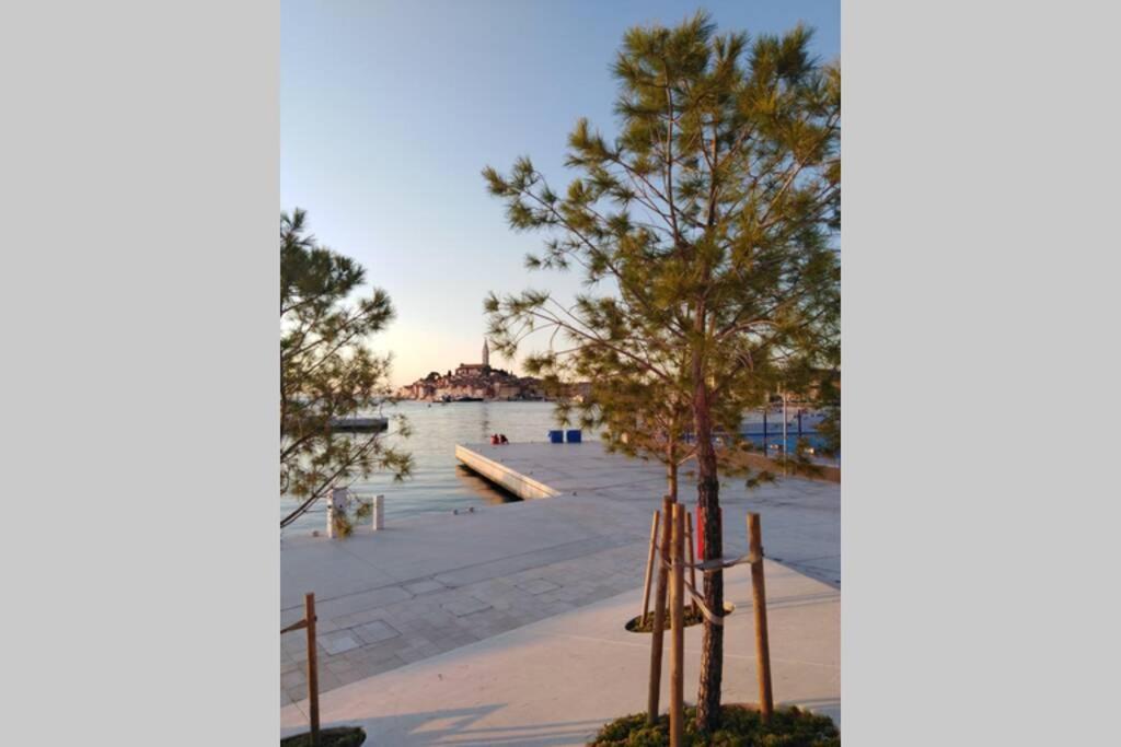 Apartman Sertic Nenad Rovinj Dış mekan fotoğraf